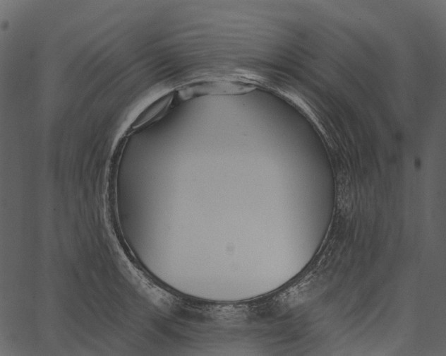 X0000062641139200601111119