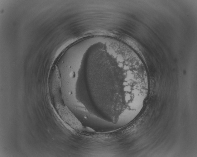 X0000062641141200601111119