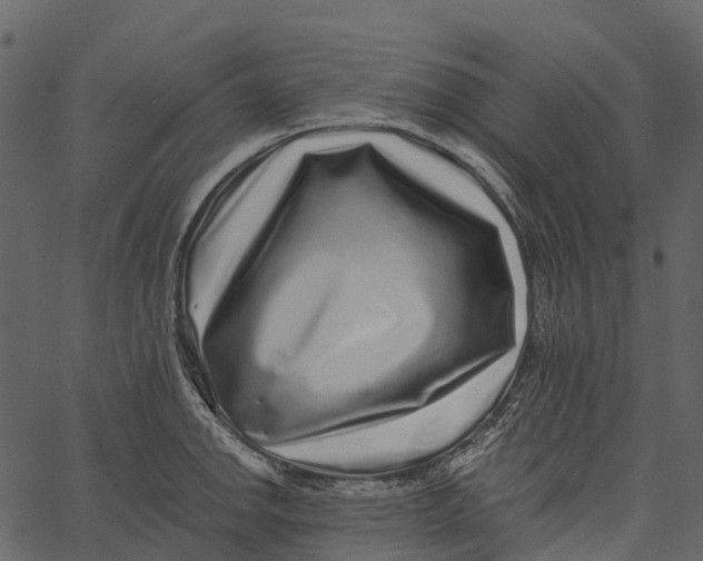 X0000062641142200601111119