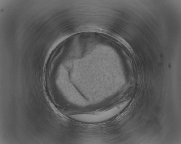 X0000062641144200601111119