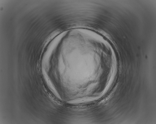 X0000062641145200601111119