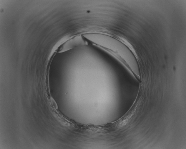 X0000062641146200601111119