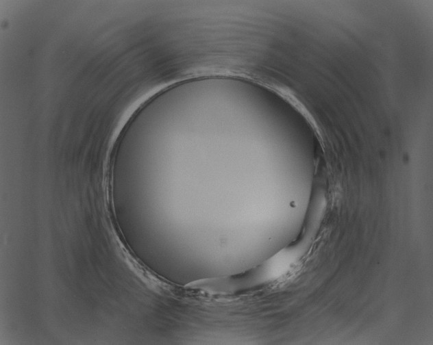 X0000062641148200601111119