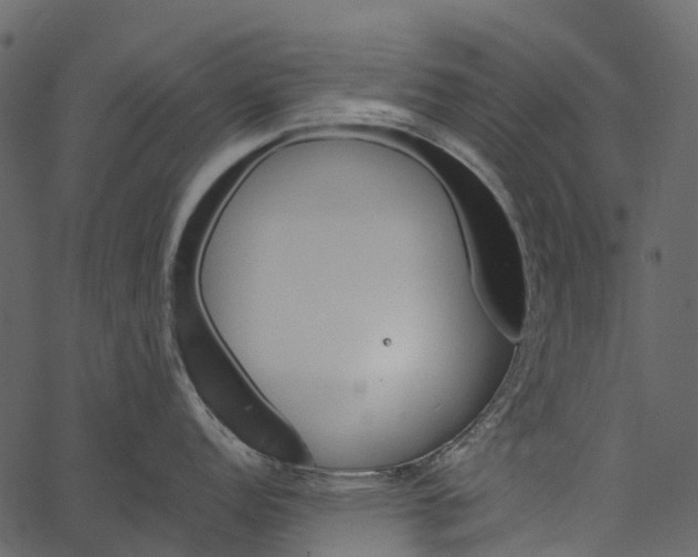 X0000062641152200601111119