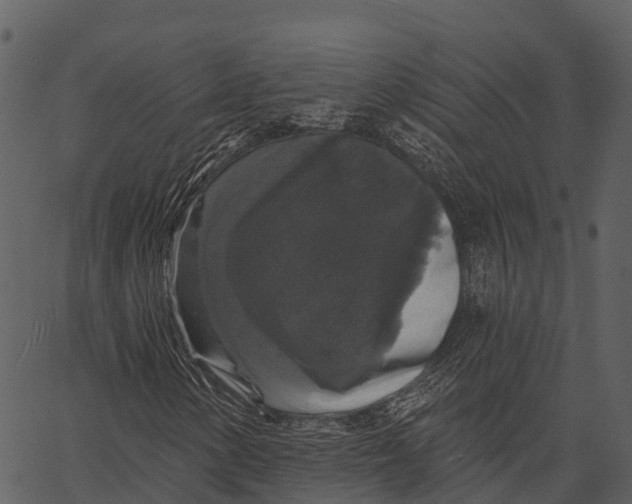 X0000062641154200601111118