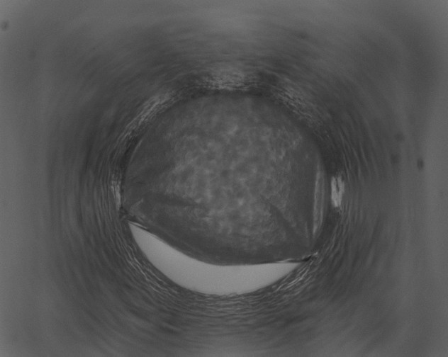 X0000062641155200601111118