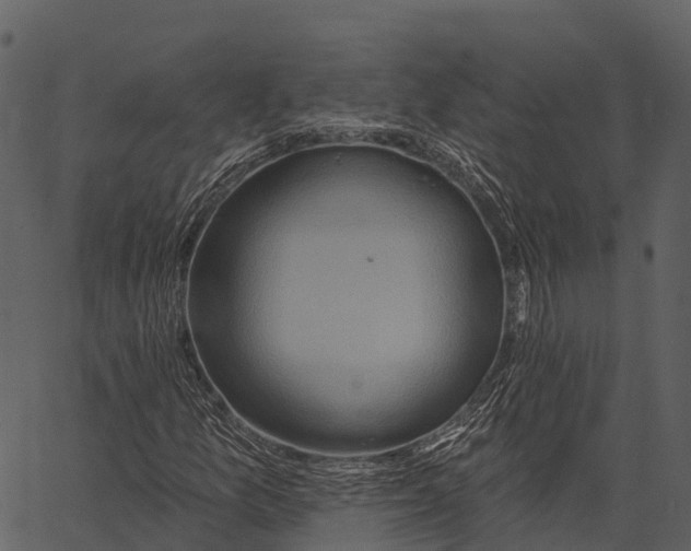 X0000062641157200601111118