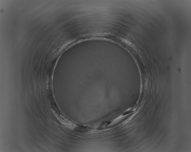 X0000062641161200601111118