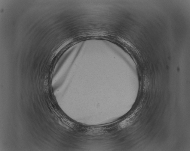 X0000062641162200601111118