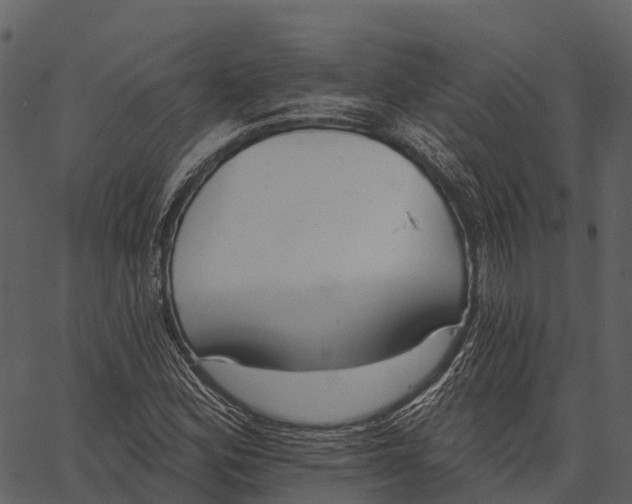 X0000062641164200601111118