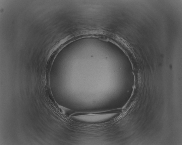 X0000062641165200601111118