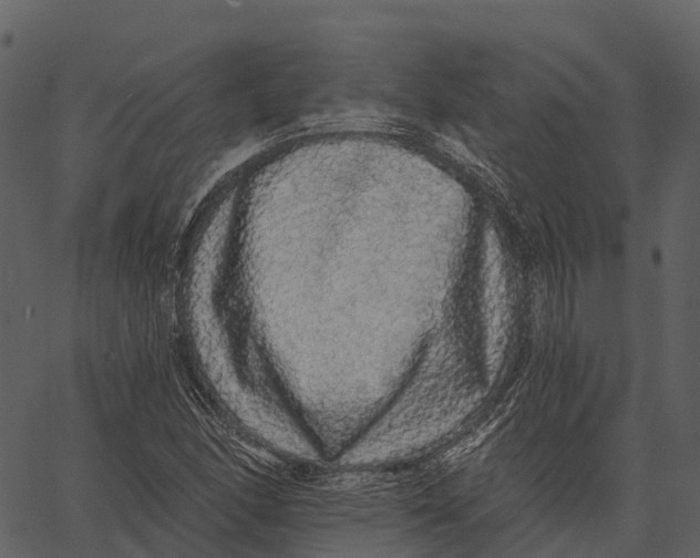 X0000062641166200601111118