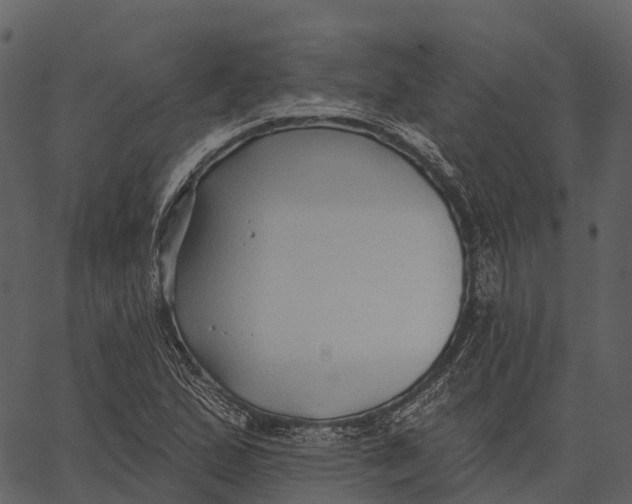 X0000062641167200601111118