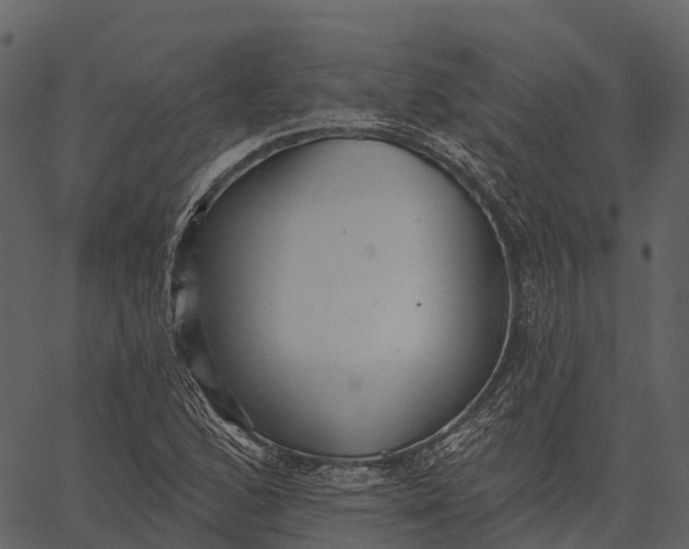 X0000062641168200601111118