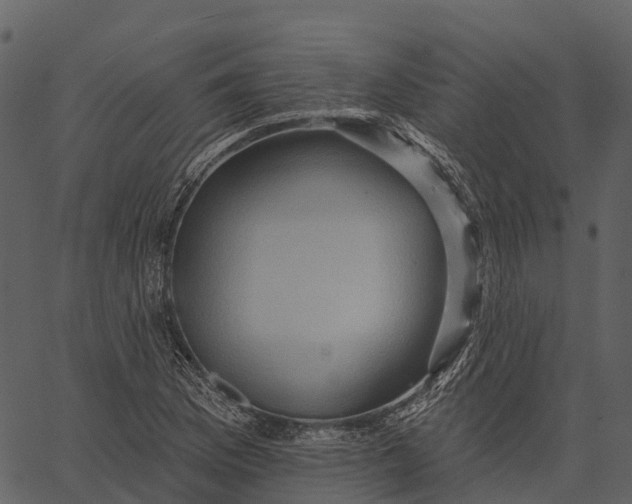 X0000062641169200601111118