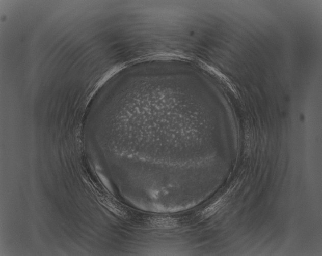 X0000062641170200601111118