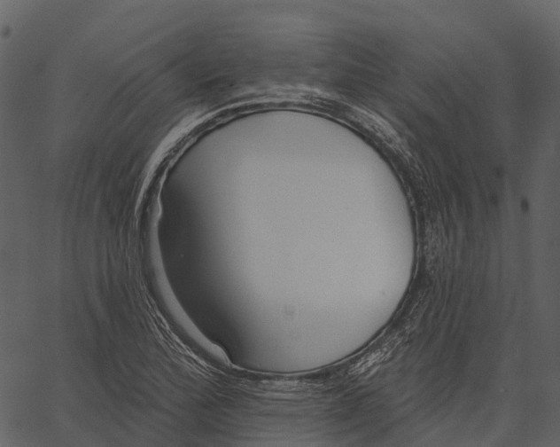 X0000062641172200601111118