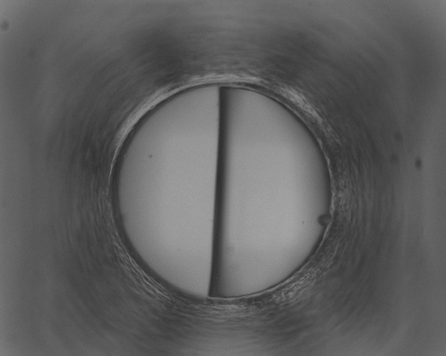 X0000062641173200601111118