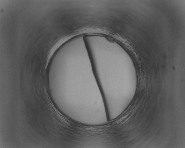 X0000062641175200601111118