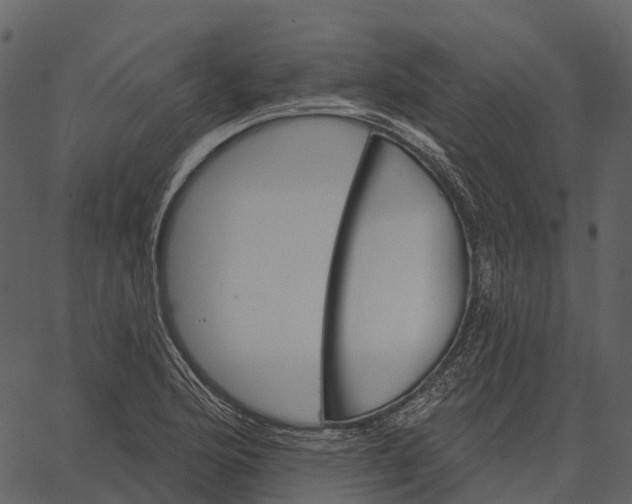 X0000062641176200601111118