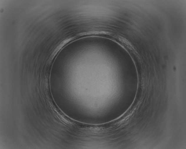 X0000062641177200601111118