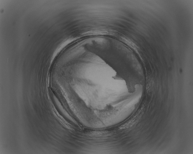 X0000062641179200601111118