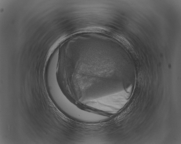 X0000062641180200601111118