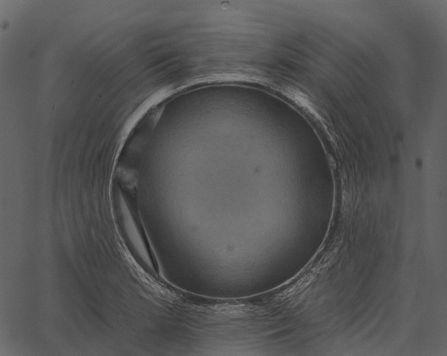 X0000062641181200601111118