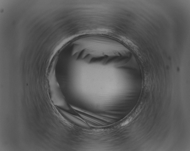 X0000062641184200601111118