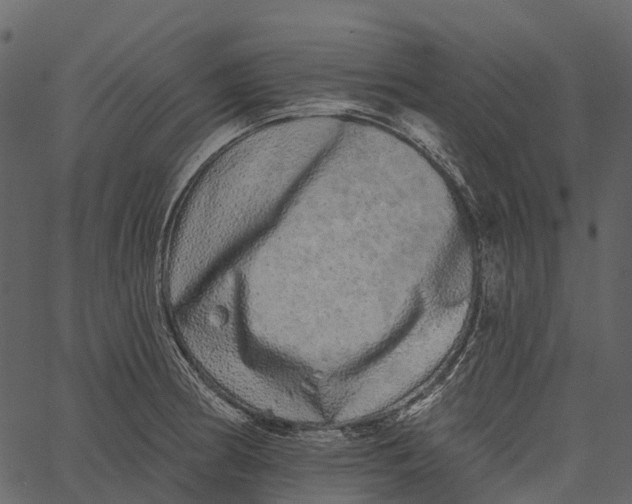 X0000062641186200601111118