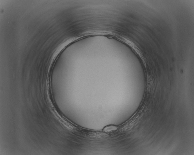 X0000062641187200601111118