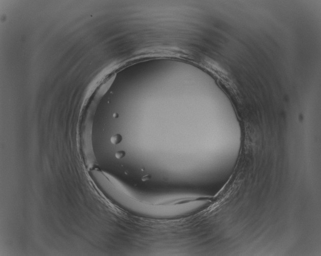 X0000062641188200601111118