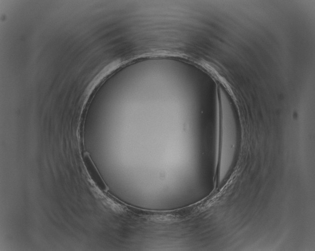 X0000062641189200601111118