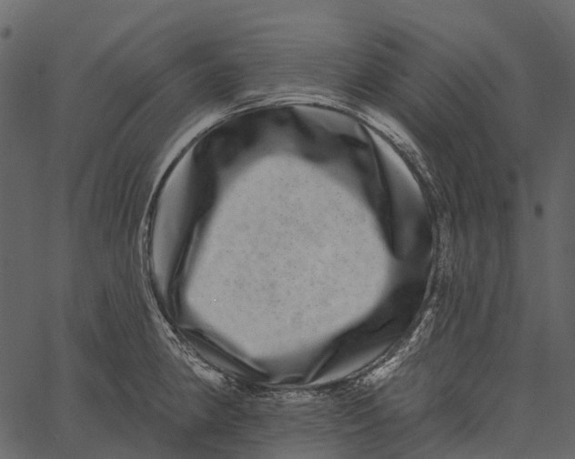 X0000062641190200601111118