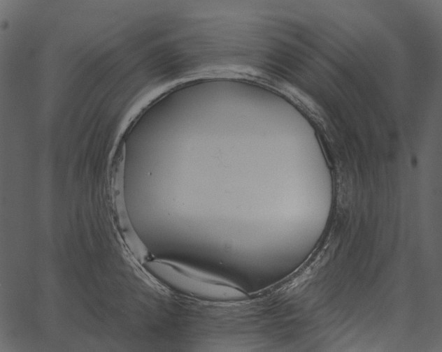 X0000062641192200601111118