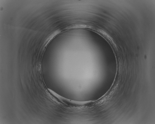 X0000062641193200601111118