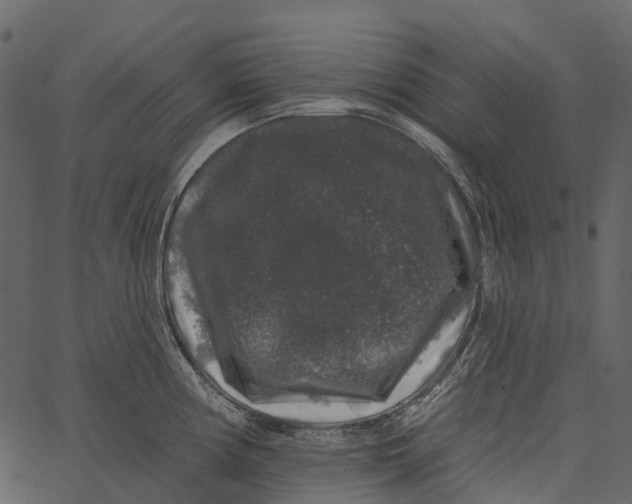 X0000062641194200601111118