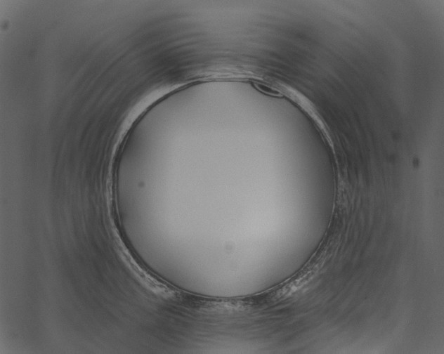 X0000062641195200601111118