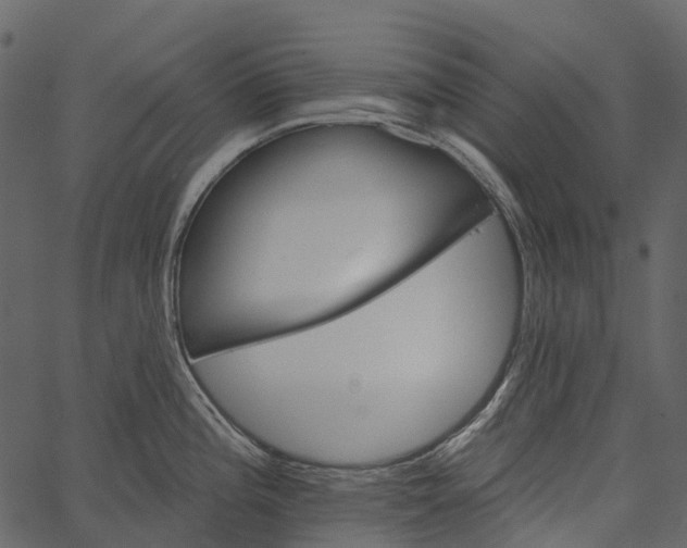 X0000062641196200601111118