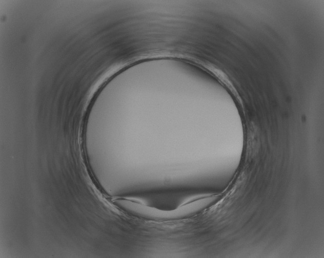 X0000062641197200601111118