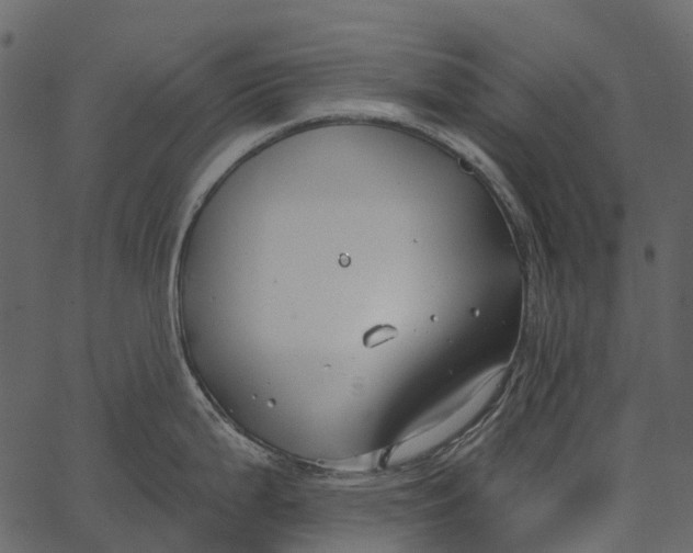 X0000062641199200601111118