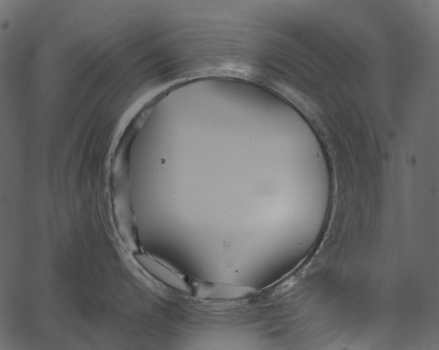 X0000062641200200601111118