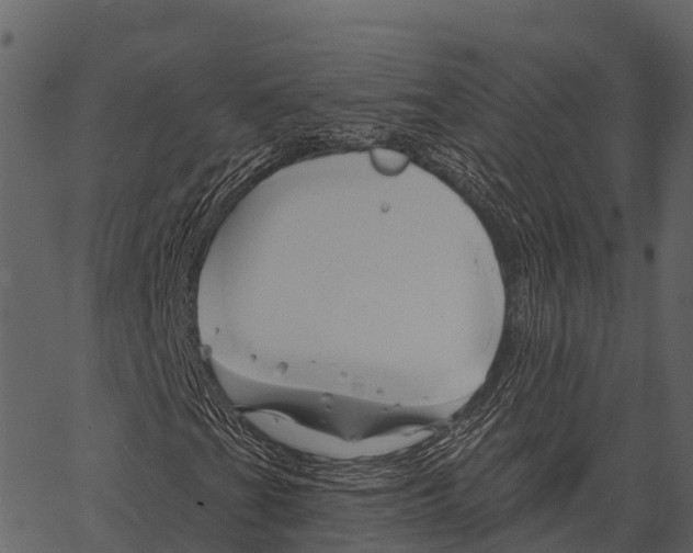 X0000062641201200601111117