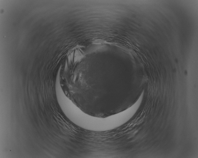 X0000062641202200601111117