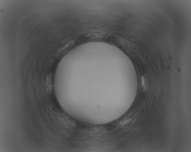 X0000062641203200601111117