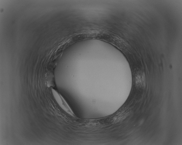 X0000062641204200601111117