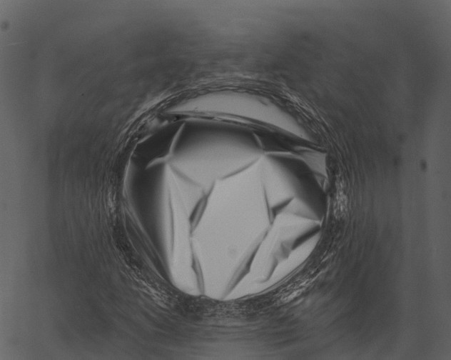 X0000062641206200601111117