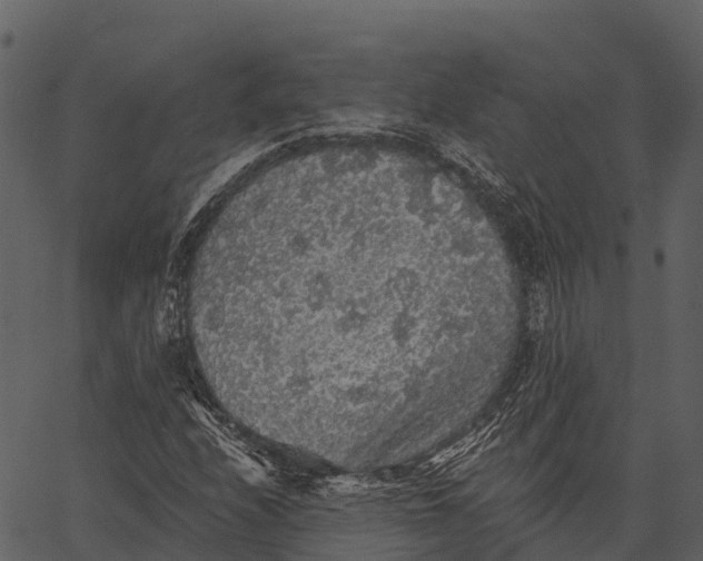 X0000062641208200601111117