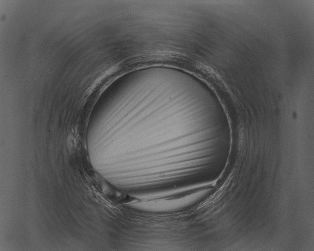 X0000062641210200601111117