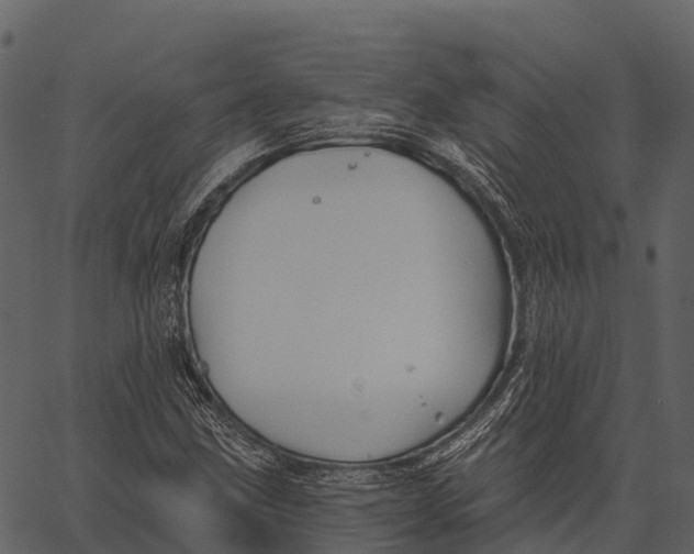 X0000062641211200601111117